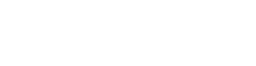 Bossy Nagy Group
